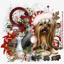 Check spelling or type a new query. Christmas Decoration Cartoon Png Download 900 900 Free Transparent Yorkshire Terrier Png Download Cleanpng Kisspng
