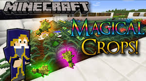 The cactus is a block added by vanilla minecraft. Minecraft Sky Factory 2 E21 Zivicio Armor And Chunk Loader By Froggy And Phenix