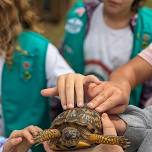 Totally Turtles (2026)