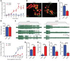 Merkel cell carcinoma (mcc) is a rare type of skin cancer. Piezo2 Channel Merkel Cell Signaling Modulates The Conversion Of Touch To Itch Science
