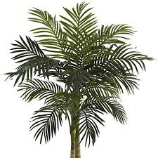 Maybe you would like to learn more about one of these? Buy Fake Plants Online 13 Stores With The Best Faux Greenery Architectural Digest