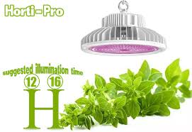 Shortly before the flowering stage, change to. How Led Grow Light Changes The Grow Cycle Of Plants Agc Lighting