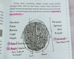 Otak Kiri Lebih Kepada Fakta Hujah Dan Dalil Otak Kanan Menekankan Aspek Kejiwaan Dan Kerohanian Ms 5 Menjadi Ulul A Spirituality Mindfulness Knowledge