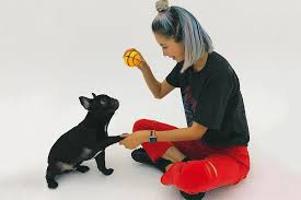 Regular price $59.95 sale price $29.95. The Cutest Celebrity Pets To Follow On Instagram Hypebae