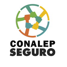 Manage and improve your online marketing. Conalep Seguro Qroo Gob Mx