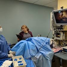 Uc davis veterinary medicine aims to raise $500 million in university's fundraising campaign. Uc Davis Veterinary Medical Center San Diego 10 Photos 30 Reviews Veterinarians 10435 Sorrento Valley Rd San Diego Ca Phone Number