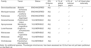 Image result for Belonophora coffeoides