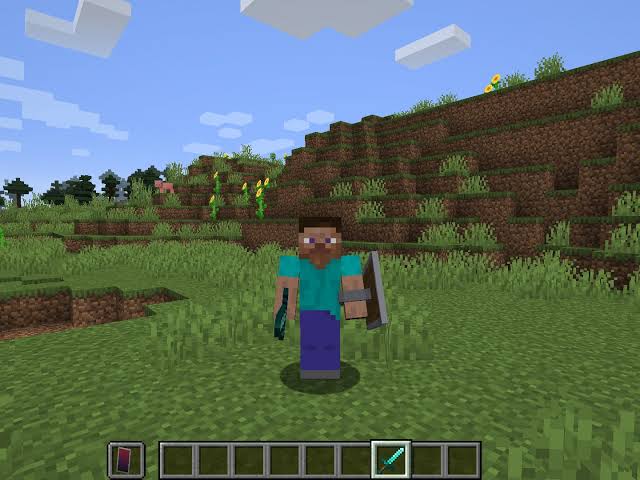 Minecraft Steve skin: Everything to know about the main character | PC Gamer