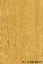 Image result for Terminalia boivinii