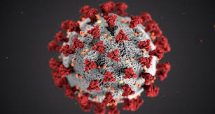 Kostenfreier corona news alert für die schweiz. Coronavirus Consequences For Erasmus And European Solidarity Corps Mobility Activities Erasmus