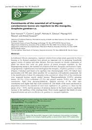 Image result for Suregada zanzibariensis