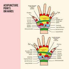 Acupuncture Point On Hands Vector Download Free Vectors
