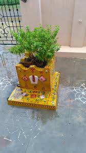 Pin By Abhishek Vardhan Peri On Tulsi Tulsi Plant Tulsi Pot Tulsi