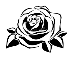 Next is the how to series, where i outline and demonstrate all the basic techniques that you need to learn for each tattoo. Rose Stencil Stock Illustrations 2 475 Rose Stencil Stock Illustrations Vectors Clipart Dreamstime