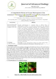 Image result for Cucumis maderaspatanus