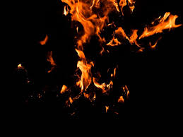 Yellow sunflower with black background, flowers, yellow flowers. Fire Bonfire Dark Flame Black Background Toppng
