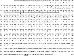 What you think these emojis mean when you send them to your date can mean something entirely different to the person on the other end of the text or chat stream. Molecular Cloning And Expression Of Ps20 Growth Inhibitor Journal Of Biological Chemistry