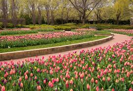 Is the chicago botanic garden open today. Chicago Botanic Garden Facebook