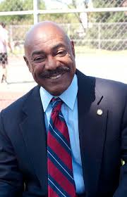 Profile for Felix George, Dupage Township Supervisor