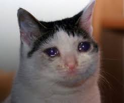 The trollface is an insanely popular 2008 rage comic based meme and is used a lot in rage comics. Sad Cat Face Meme Base By Lyaidemon On Deviantart