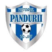 Plantilla del viitorul pandurii temporada 2019/2020. Acs Viitorul Targu Jiu Wikipedia