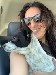 Lost Dog in Sacramento, CA