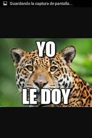 Aug 28, 1999 · jaguares/caifanes have been the most visible face of the mexican rock movement for a number of years now. Jaguares De La Hccce Home Facebook