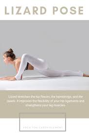 Lizard Pose Is A Great Yoga Pose For The Earth Element Click On The Picture To Find More Poses Lizard Pose Yoga Poses Yoga Pictures