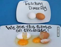 Brown Eggs Vs White Eggs It S All The Same What Is Diversity Teaching Education