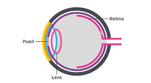 Web api bertindak sebagai perantara antara dua mesin yang ingin terhubung satu sama lain untuk tugas tertentu. Bagaimana Cara Kerja Mata Essilor Indonesia