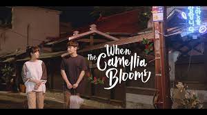 When The Camellia Blooms Season 2 Release Date Official News About The Show