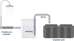 If your grey water is too salty, you can possibly get by creating a constructed wetland where your grey water exits the system. Pia Gmbh Greywater Plants