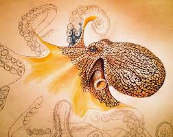 Tim Jeffs Art Colored Pencil Artwork Octopus Drawing Color Pencil Drawing