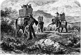 Hunting Tigers with Katars: Fact or ...
