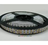 Double Row SMD 3528 Flexible LED Light Strip, 240 LEDs/M, 12V/24V DC