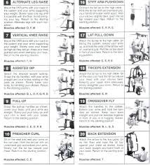 25 uncommon weider 8530 exercise chart pdf