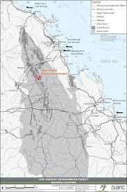 Image result for Emilia tenellula