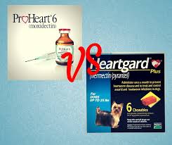 Interceptor® flavor tabs® for dogs & cats (milbemycin oxime)(elanco). Proheart 6 Vs Heartgard Plus