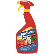 Daconil 32 Oz Ready To Use Fungicide In 2020 Fungicide Plant Diseases Natural Pest Control