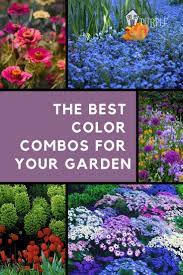Simple Secrets For Creating Garden Color Schemes Colorful Garden Gorgeous Gardens Beautiful Gardens