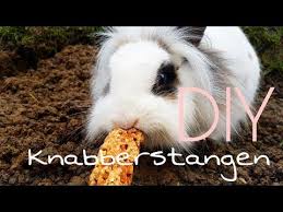 Knabberstangen Fur Kleintiere Vanessascoloredlife Youtube In 2020 Kaninchen Leckereien Kleine Tiere Tiere