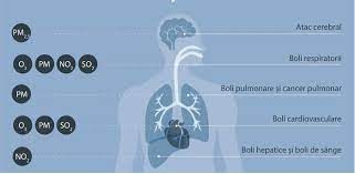 Poluarea aerului poate avea alte efecte asupra creierului. Efectele PoluÄƒrii Aerului Asupra SÄƒnÄƒtÄƒÈ›ii Fizice È™i Psihice