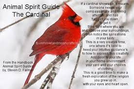 Animal Spirit Guide The Cardinal Animal Spirit Guide Animal Spirit Guides Spirit Animal Totem