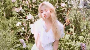Skins and sleeves for your macbook or pc laptop. 346120 Twice Kpop íŠ¸ì™€ì´ìŠ¤ Kpop K Pop Girls More More Album Mina ë¯¸ë‚˜ Myoui Mina åäº• å— 4k Wallpaper Mocah Hd Wallpapers