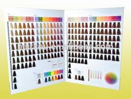 Oem Manufacturer Salon Professional Hair Dye Color Chart Color Swatch Book Buy Salon Professional Hair Color Dye Chart Iso Hair Dye Color