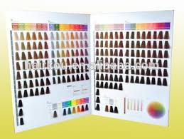 oem manufacturer salon professional hair dye color chart color swatch book buy salon professional hair color dye chart iso hair dye color