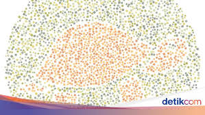 Untuk perusahaan besar memang kadang kalah ada tes buta warna dan juga ada yang tidak tetapi kita harus belajar untuk bisa mengetes mata kita apakah buta warna atau tidak untuk cara mengetes mata anda maka anda bisa mengetahuinya disini dimana kami memberikan contoh soal dan juga jawaban. Tes Buta Warna Bisakah Kamu Menebak Semua Hewan Dalam Gambar Ini