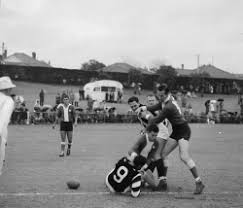 schell stock photos, images, pictures