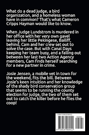 Hearing Day Homicide: Dog Days Mystery #7, A humorous cozy mystery : Blair,  Jamie: Amazon.ae: Books