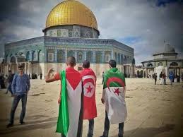 المصدر تونس المصدر آخر الأخبار العربية والعالمية والتونسية. Mohammed Gaza On Twitter ÙØ¹Ù„Ø§ Ø§Ø®ÙˆØ© Ø§Ù„Ø¯Ù… ÙÙ„Ø³Ø·ÙŠÙ† Ø§Ù„Ø¬Ø²Ø§Ø¦Ø± ØªÙˆÙ†Ø³ Https T Co Diobo6v1qp